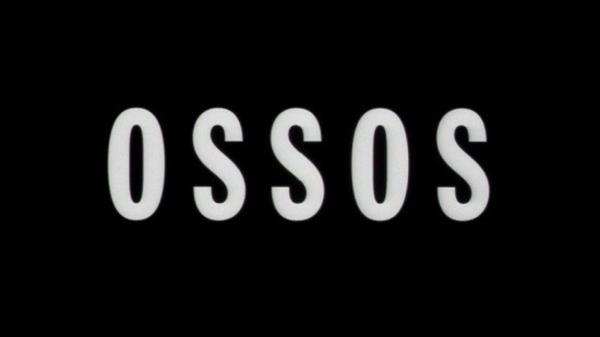 Ossos