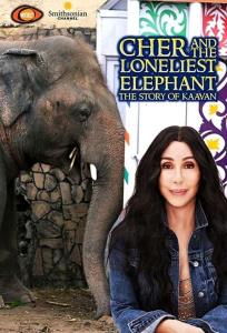 Cher a nejosamělejší slon na světě