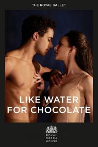 Like Water for Chocolate plakát