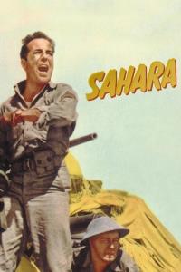 Sahara plakát