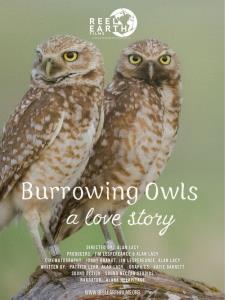 Burrowing Owls: A Love Story plakát