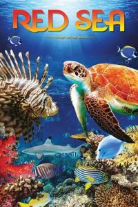 Rudé moře plakát