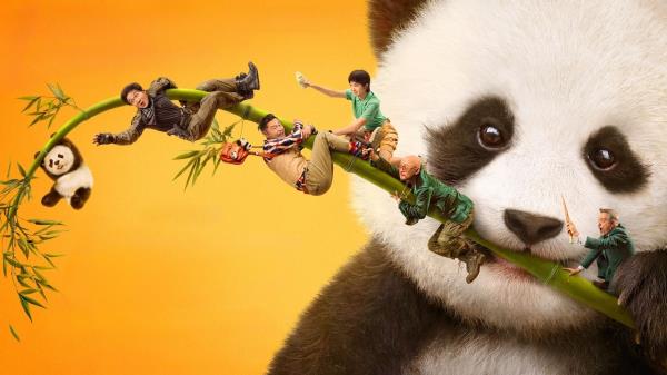 Operace Panda