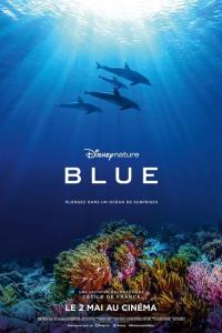Dolphin Reef