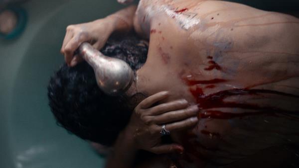 Animale - Tržby a návštěvnost