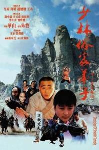 Stoupenci Šaolinu plakát