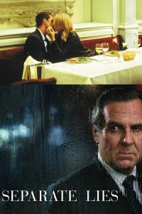 Paralelní lži plakát