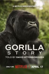 David Attenborough: Gorilí příběh plakát