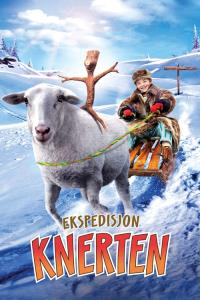 Ein fliehendes Pferd