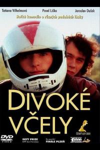 Divoké včely