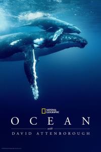 Oceán s Davidem Attenboroughem