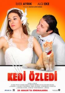 Katzendiebe