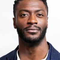 Aldis Hodge