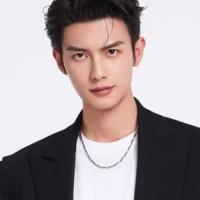 Chen Heyi
