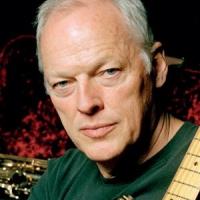 David Gilmour