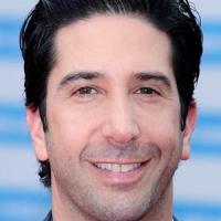 David Schwimmer