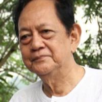Deddy Sutomo