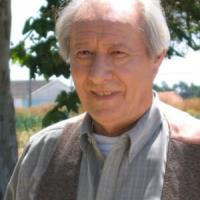 Henrique Viana