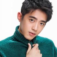 Liang Jingkang