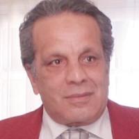 Lotfi Dziri