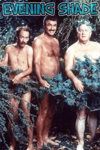 Evening Shade plakát