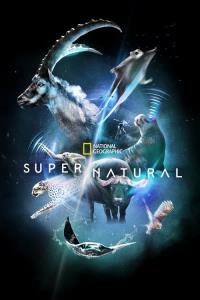 Super/Natural: Superschopnosti z říše zvířat (2022)