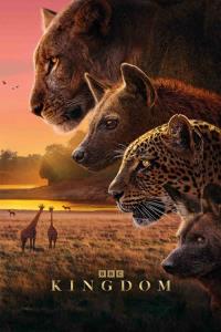 Kingdom plakát