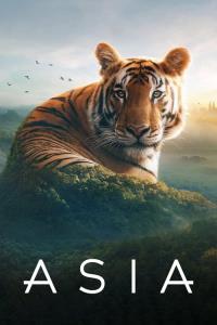 Asia plakát