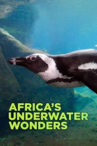 Podmořské divy Afriky