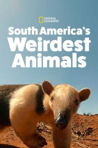 South America's Weirdest Animals plakát