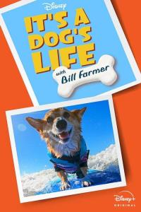 It's a Dog's Life with Bill Farmer