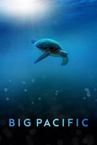 Big Pacific plakát