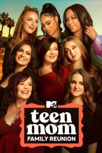 Teen Mom: Family Reunion plakát