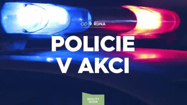 Policie v akci