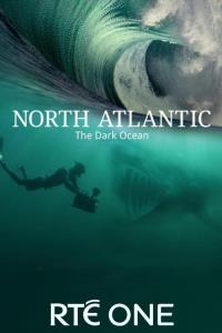 North Atlantic: The Dark Ocean