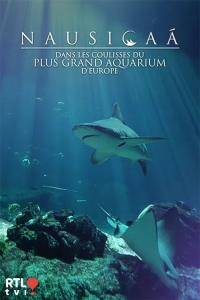 Nausicaá : Dans les coulisses du plus grand aquarium d'Europe plakát