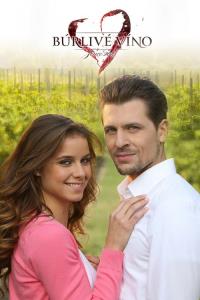 Bouřlivé víno plakát