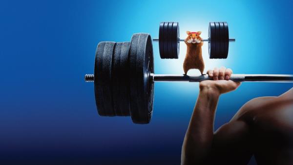 Human vs. Hamsters