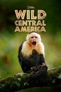 Nigel Marven: Divoká Střední Amerika