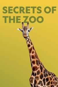 Tajemství ZOO