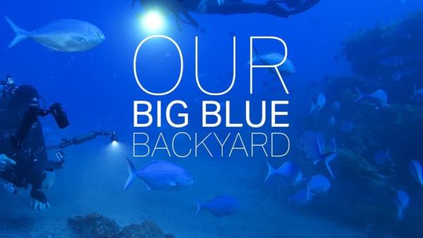 Our Big Blue Backyard