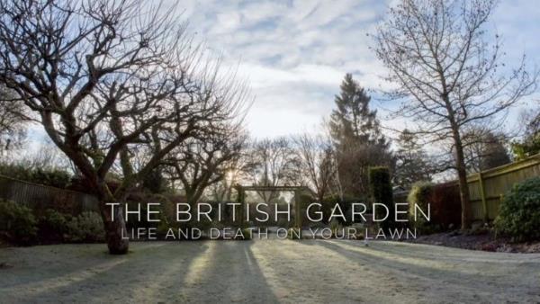 British Garden: Life and Death on Your Lawn