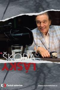 Škoda lásky plakát