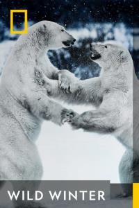 Nespoutaná zima plakát