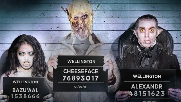 Zvláštní jednotka - Wellington Paranormal