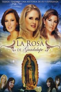 La Rosa de Guadalupe La Rosa de Guadalupe plakát