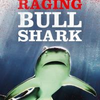 Žralok bělavý útočí