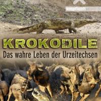 Krokodýli: Starostliví zabijáci