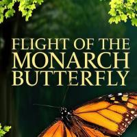 Flight of the Monarch Butterfly