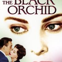 The Black Orchid